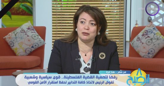 خارجية النواب: مصر لم تقبل بمخطط إسرائيل بالتخلى عن القضية الفلسطينية