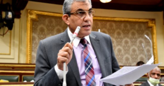 النائب عادل عبد الفضيل: نؤيد الرئيس السيسي في قراراته الداعمة للقضية الفلسطينية