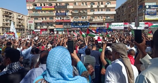 مسيرة تضامنية لآلاف المواطنين لدعم الشعب الفلسطينى بميدان الحصرى.. صور