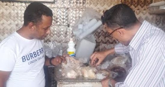تموين جنوب سيناء تضبط ربع طن دجاج غير صالح للاستهلاك الآدمي