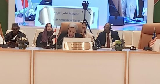 ياسمين فؤاد تشارك فى مؤتمر وزراء البيئة لتحقيق التحول الأخضر بمدينة جدة
