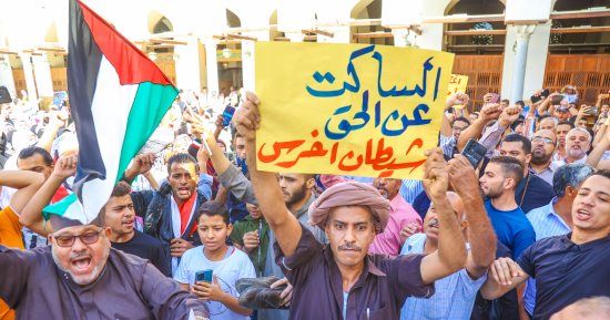 المصريون ينتفضون لأجل فلسطين.. مساجد مصر تؤدى صلاة الغائب على أرواح الشهداء.. وقفة حاشدة بالجامع الأزهر للتنديد بمجازر إسرائيل.. الآلاف يحتشدون بميدانى الجيزة والحصرى.. ويهتفون: بالروح بالدم نفديكى يا فلسطين