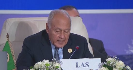أحمد أبو الغيط: الإجرام الدائر في غزة أدى لبروز القضية الفلسطينية على السطح