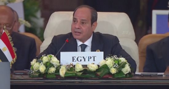 حسن عمار: كلمة الرئيس السيسى جددت الرفض التام لدعوات تهجير الفلسطينيين