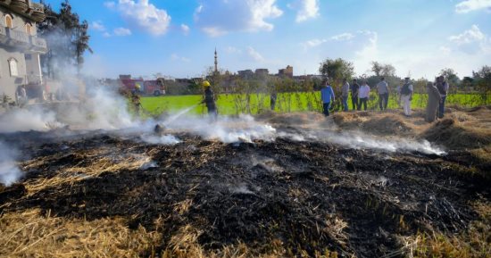 جهاز شؤون البيئة بالشرقية يُحرر 138 محضر حرق قش أرز