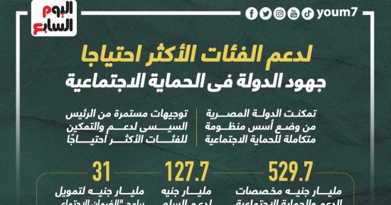 إنفو جراف.. تعرف على جهود الدولة فى الحماية الاجتماعية