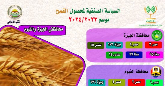 الخريطة الصنفية لمحصول القمح بالمحافظات تكشف أفضل الأصناف لزراعتها فى كل محافظة