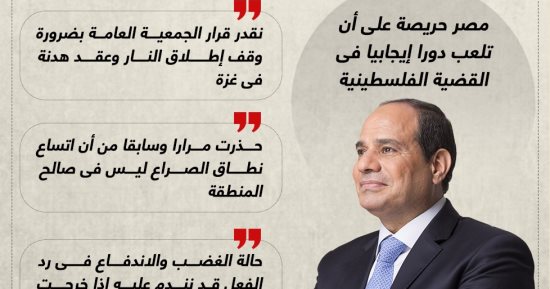 مصر دولة قوية جدا لا تُمس.. الرئيس السيسى يحذر من اتساع رقعة الصراع بسبب الحرب فى غزة (إنفوجراف)
