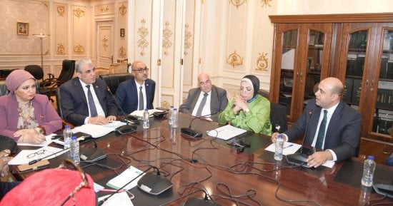 خطة التشغيل لعام 2025/24.. توفير 900 ألف فرصة عمل ليرتفع عدد المشتغلين لـ32.9 مليون.. انخفاض معدل البطالة لـ7%.. دعم التدريب وحصر 152 فرصة للتصنيع المحلى.. ارتفاع مشاركة الإناث فى القوى العاملة لـ24% بحلول 2030