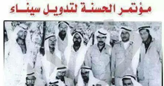  55 عامًا على مؤتمر الحسنة.. يوم خدع بدو سيناء إسرائيل