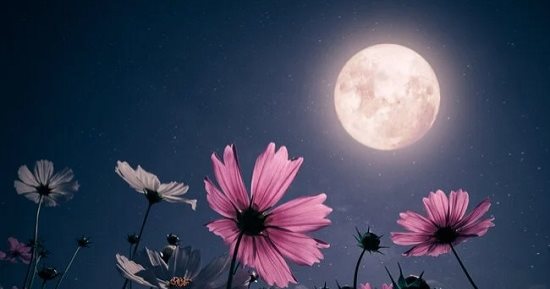 عندك أرق اليومين دول؟ اعرف علاقة اضطراب النوم باكتمال القمر