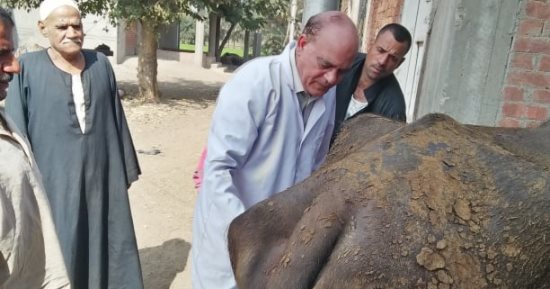 جامعة الزقازيق توجه قافلة بيطرية لقرية كفر أبو جبل مركز الزقازيق بالشرقية  