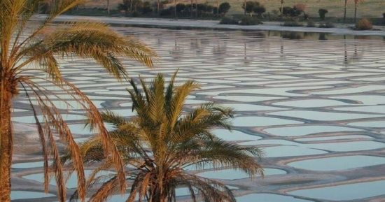 جمال الطبيعة بشمال سيناء.. المحميات والقلاع والواحات وجهات سياحية بأرض الفيروز.. قلعة نخل لتأمين طريق الحجاج قديما.. منطقة الصناعات الثقيلة والثروات المعدنية بالحسنة.. والطيور المهاجرة تزين مدينة بئر العبد