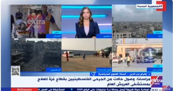 أستاذ علوم سياسية: مصر بذلت جهودا مقدرة من العالم لاحتواء الأزمة فى غزة
