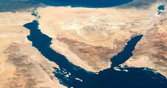 تعرف على جهود مركز بحوث الصحراء من أجل التنمية فى سيناء