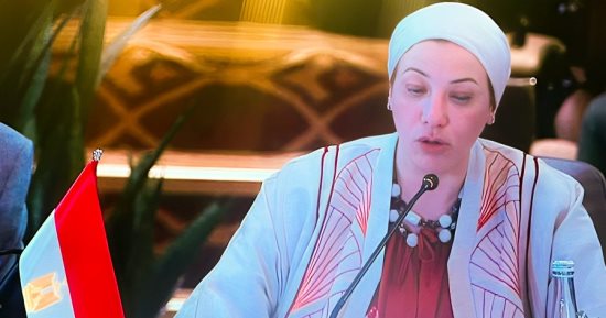 وزيرة البيئة: نحتاج بشدة لمزيد من العمل لتيسير المفاوضات الخاصة بتمويل المناخ