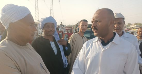 حملات بيطرية مكثفة على أسواق الماشية حول الأقصر لحماية الثروة الحيوانية.. صور