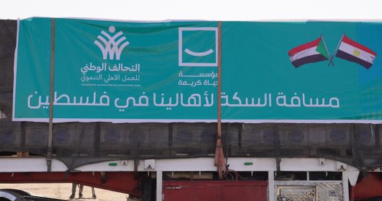 مصر تقدم 5900 طن مساعدات إنسانية لقطاع غزة من إجمالى 7 آلاف و94 طنا