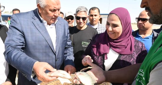 وزيرة التضامن تفتتح مشروع قرى آمنة غذائيًا بمركز الفرافرة فى الوادي الجديد
