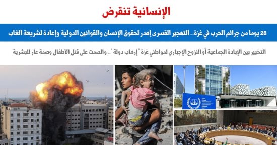 28 يوما على حرب غزة.. لحظات فارقة للإنسانية قد تُعيد شريعة الغاب.. برلمانى