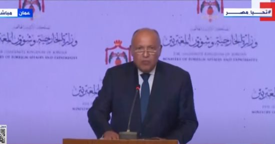 وزير الخارجية: مصر تبذل كل ما فى وسعها لضمان استقبال المساعدات وإدخالها لغزة