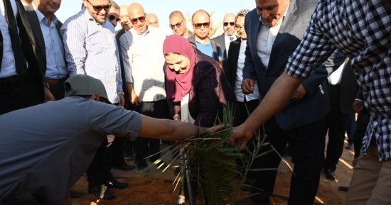وزيرة التضامن تدشن المرحلة الثانية لمزرعة النخيل بالوادى الجديد وتخصيص العائد للأسر الأولى بالرعاية