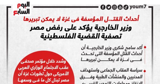 وزير الخارجية يؤكد رفض مصر تصفية القضية الفلسطينية.. إنفوجراف