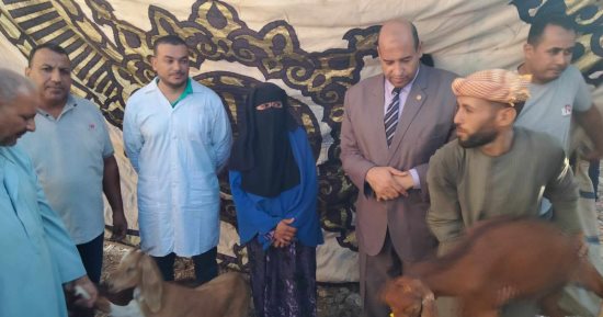 برنامج "فرصة" يسلم 304 رؤوس ماشية بمركزى المنيا وسمالوط.. صور