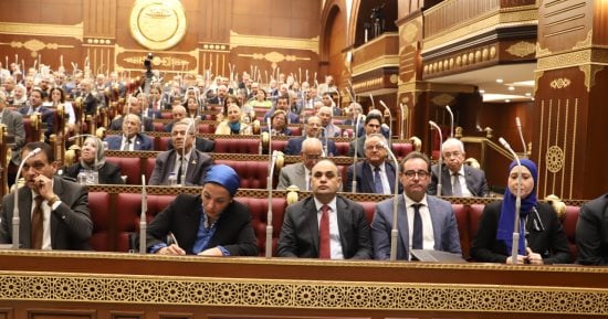 نواب يطالبون بتوفير الأعلاف السمكية وخطة للاكتفاء الذاتى والتصدير