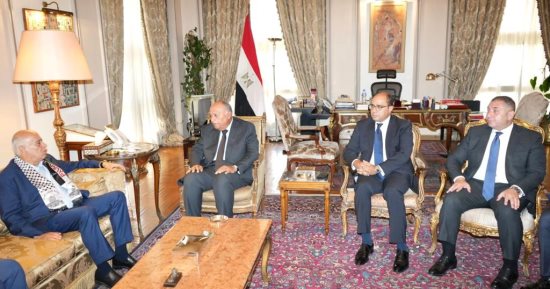 شكرى يؤكد لمسؤول فلسطينى ضرورة وقف إطلاق نار فورى فى قطاع غزة دون شروط