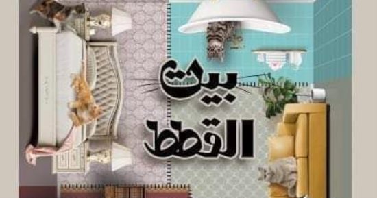 صدر حديثا.. ترجمة عربية لرواية "بيت القط" للكردى هيوا قادر