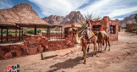 مصر الحلوة.. أسباب تجعل الكثيرين يقبلون على زيارة جبل سانت كاترين في الشتاء