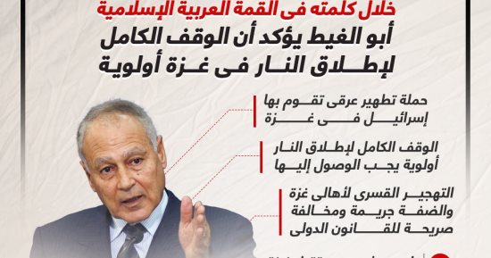 أبو الغيط يؤكد أن وقف إطلاق النار فى غزة أولوية (إنفوجراف)