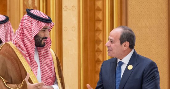 الرئيس السيسى وولى العهد السعودى يؤكدان مواصلة تطوير العلاقات بين البلدين