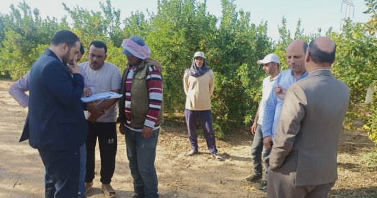 وزارة العمل: حصر وتسجيل العمالة غير المنتظمة بشركات فى الإسماعيلية 
