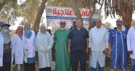 حياة كريمة.. الأقصر تنظم أكبر قافلة طبية بيطرية مجانية بقرية المساوية.. صور