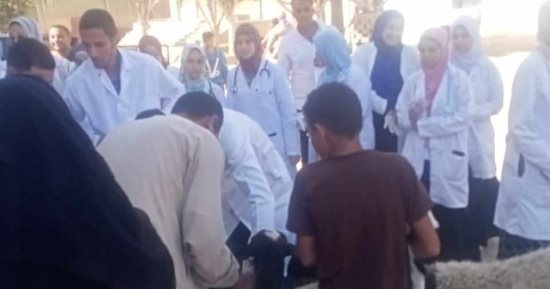 قافلة بيطرية علاجية بقرية دير أبو حنس بمركز ملوى فى المنيا