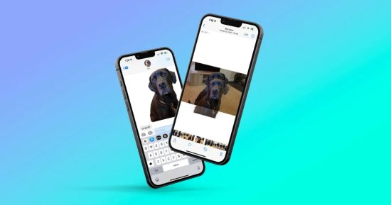 كيفية إزالة الخلفية من أى صورة على نظام iOS.. اعرف الخطوات