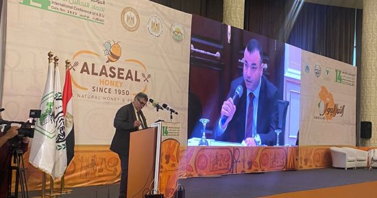 الزراعة: النحل يتخطى 20 ألف نوع ويمثل 67% من الملقحات