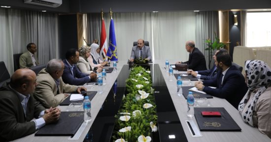 محافظ أسوان يستعرض أمام وفد بنك الاستثمار القومى والتخطيط مشروعات المحافظة