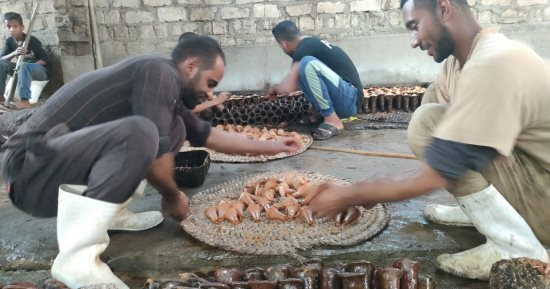 آيس كريم الصعايدة.. "الجلاب" حلوى تشتهر بها محافظة قنا وتنتشر مصانعها فى "القناوية" وقرى نجع حمادى.. أحد الصناع: تعتمد على عصير القصب والعسل الأسود.. ويؤكد: صنعة متوارثة توفر فرص عمل للشباب.. صور
