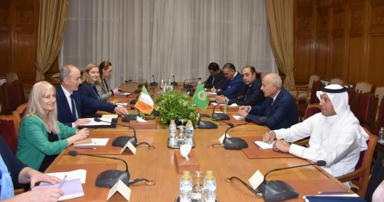أبو الغيط يستقبل وزير خارجية أيرلندا ويحذر مجددا من التهجير القسرى للفلسطينيين