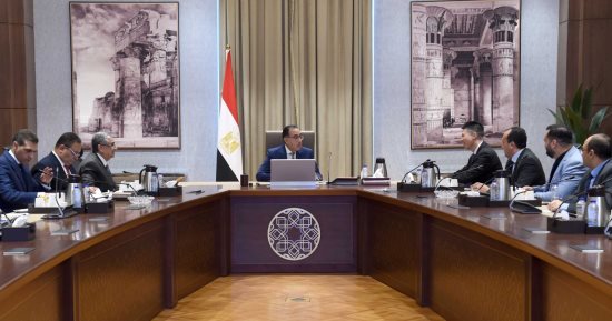 رئيس الوزراء يلتقى رئيس شركة "لونجى" الصينية الرائدة فى تكنولوجيا الطاقة الشمسية