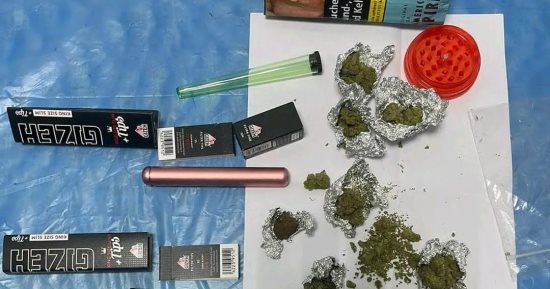 ضبط راكب ألمانى بمطار الغردقة بحوزته كمية من الماريجوانا والحشيش