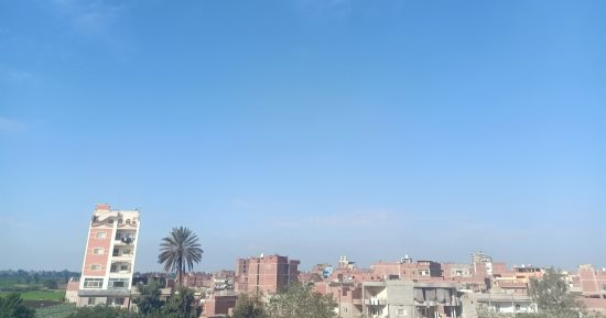 طقس الشرقية اليوم.. معتدل نهارا ومشمس أغلب الأوقات "صور" 