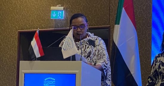 الرئيس التنفيذى لمؤسسة وعى السودانية: الخرطوم تشهد واحدة من أبشع الكوارث