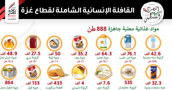 محتويات قافلة المساعدات الإنسانية لصندوق تحيا مصر إلى غزة.. إنفوجراف 