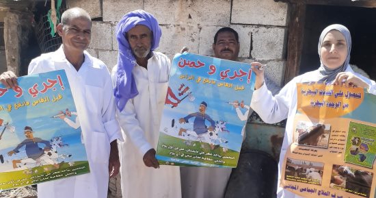 انطلاق الحملة القومية الثالثة لتحصين الماشية بجنوب سيناء.. صور