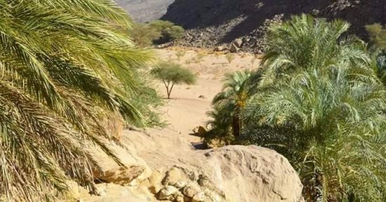 هنا "أبرق" الوجه الحقيقى للطبيعة بمحمية جبل علبه.. على صخورها نقوشا تدل على وجود الإنسان ما قبل التاريخ.. تسكنها قبائل العبابدة.. موطن للحيوانات البرية.. وقلعة الرومانيين ومسارات الحج شهود على تاريخها.. صور