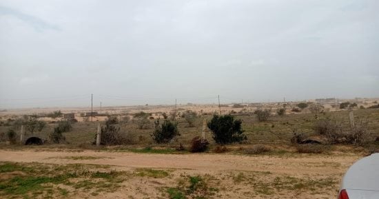 طقس شمال سيناء.. أمطار متوسطة مصحوبة برياح ورفع درجة الاستعداد